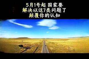 韦德国际是什么公司